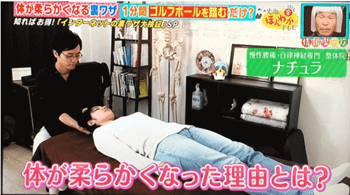 メディア出演実績 2